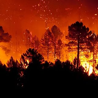 Incendio Roblido 2025